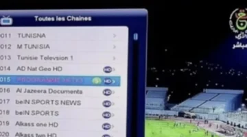 ضبط أجهزتكم.. تردد قناة الجزائرية الأرضية لمتابعة مباريات أمم أفريقيا مجانًا